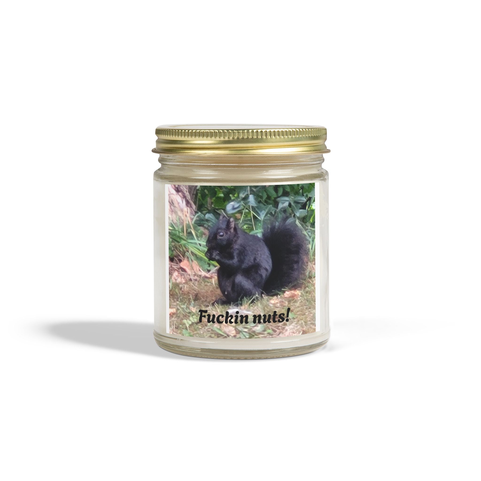 Scented Swirl Nut Candles, Hilarious and Inviting Coconut Apricot Wax